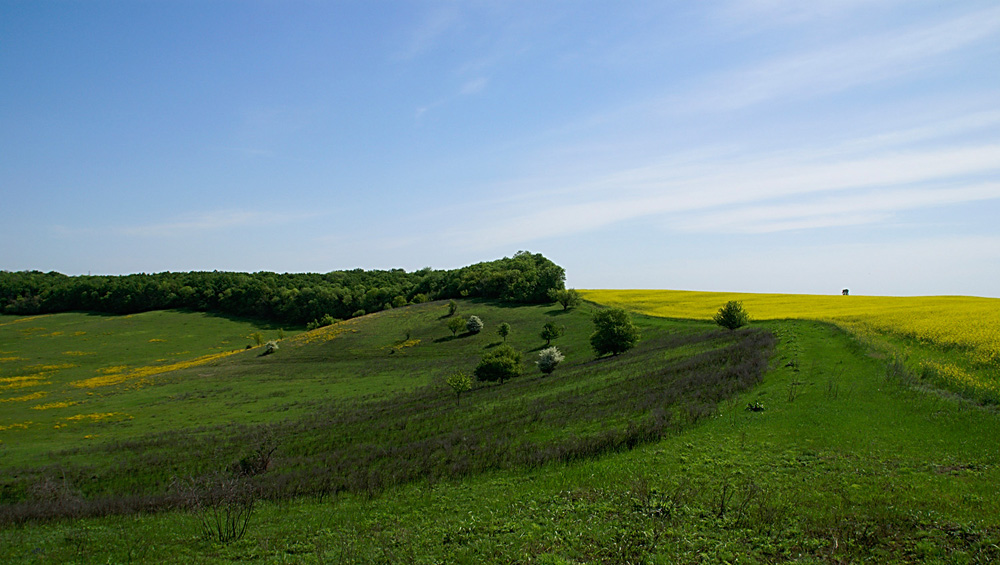 Ландшафт