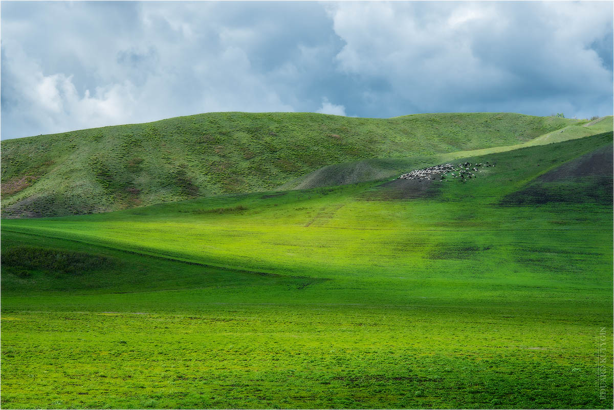 Оренбуржье весной