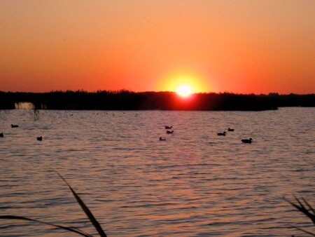 вечерняя зорька