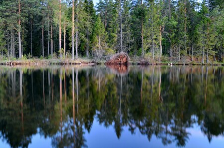 Зазеркалье