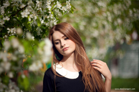 Гелиос 40-2 &amp;quot;Второе дыхание&amp;quot;