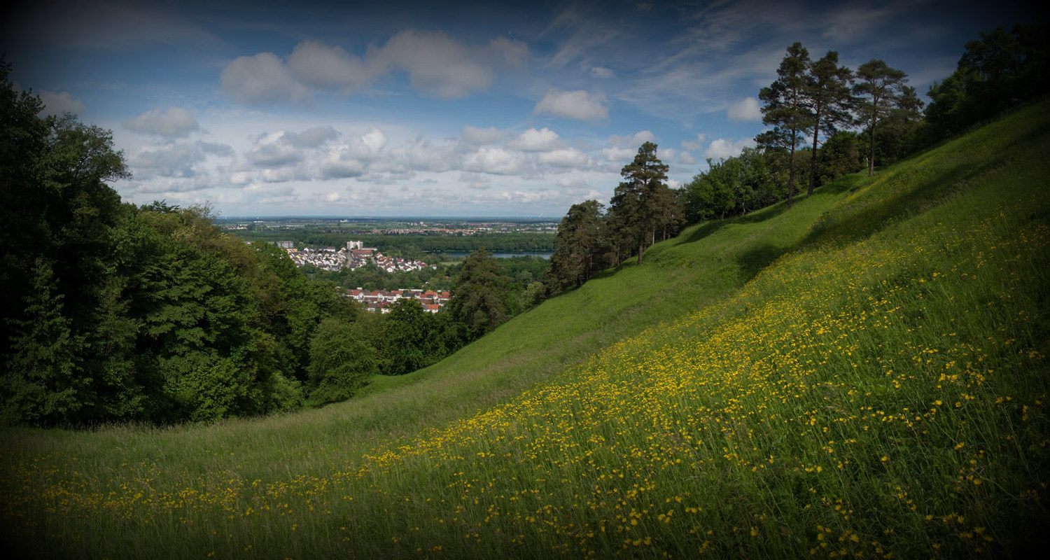 Панорамы Германии