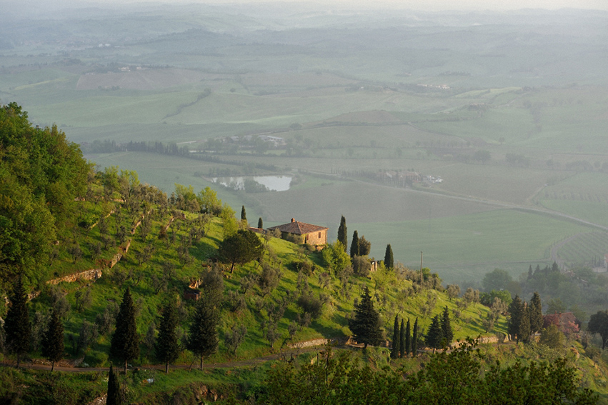 Утро (Val d'Orcia)