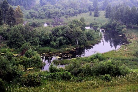 Бобровая запруда
