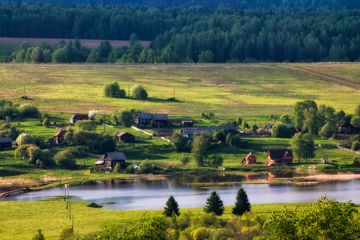 Сельские зарисовки.