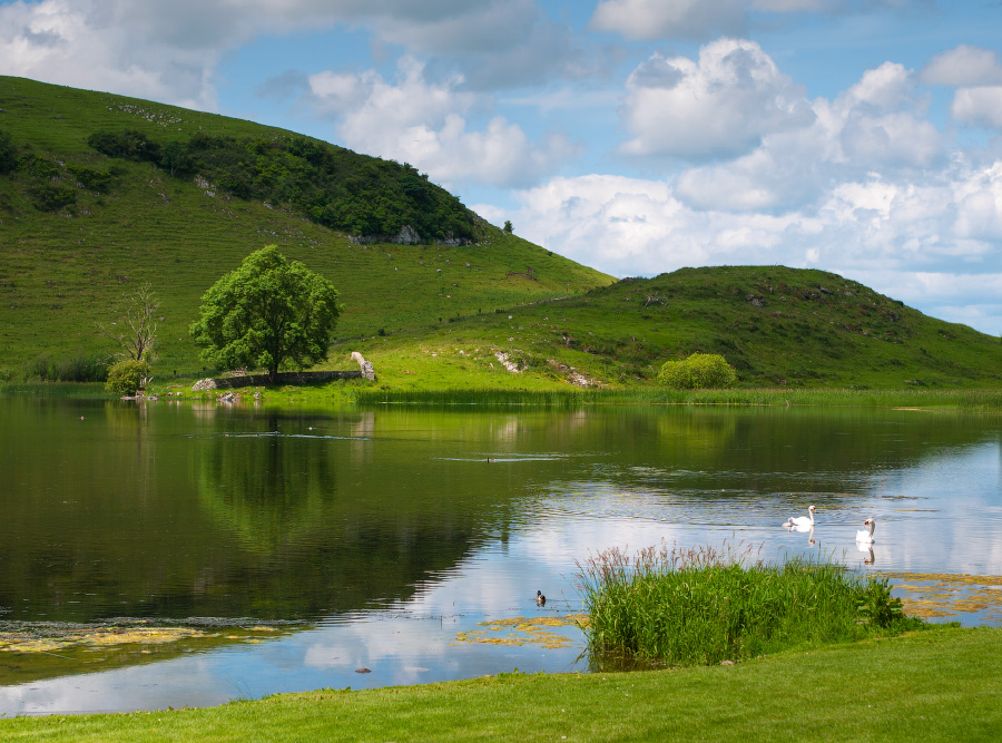 Lough Gur #456