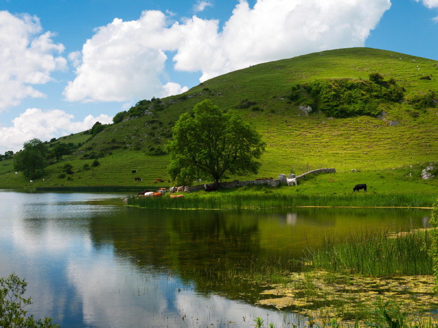 Lough Gur - Пастораль #523