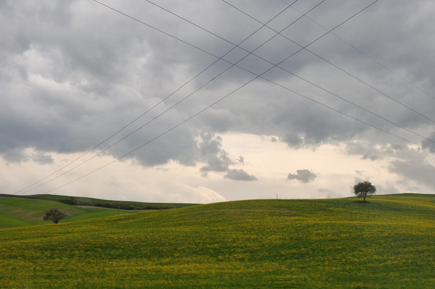 По дороге в Montalcino