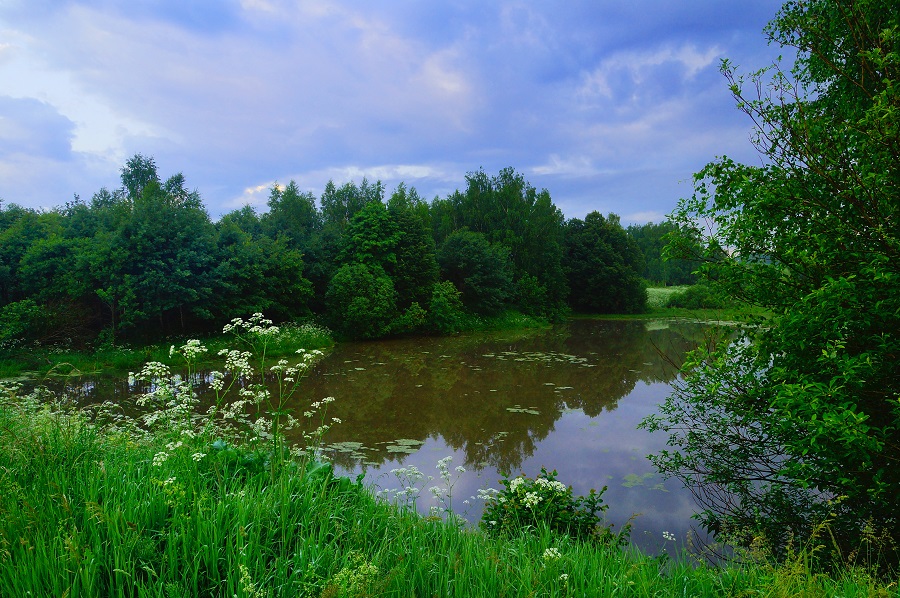 Серое утро