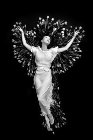Phoenix II