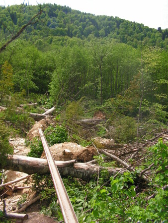 Дрезина больше не проедет...