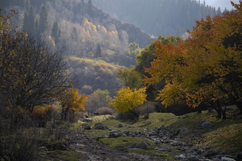 Казахстан предгорье