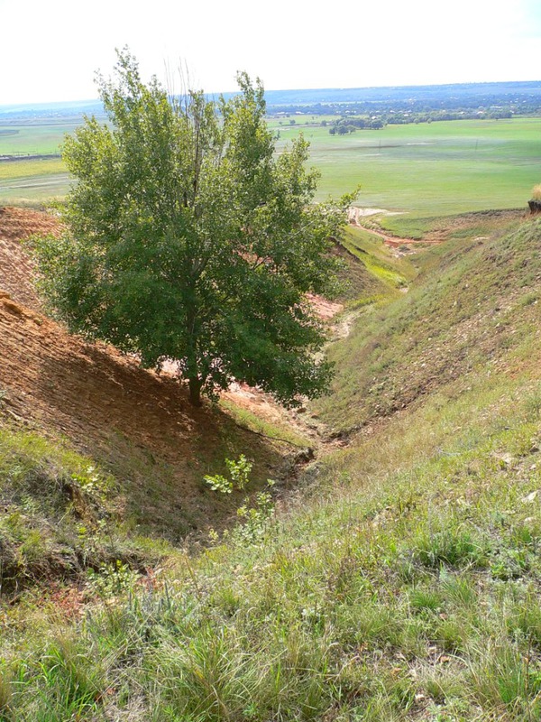 В одиночестве