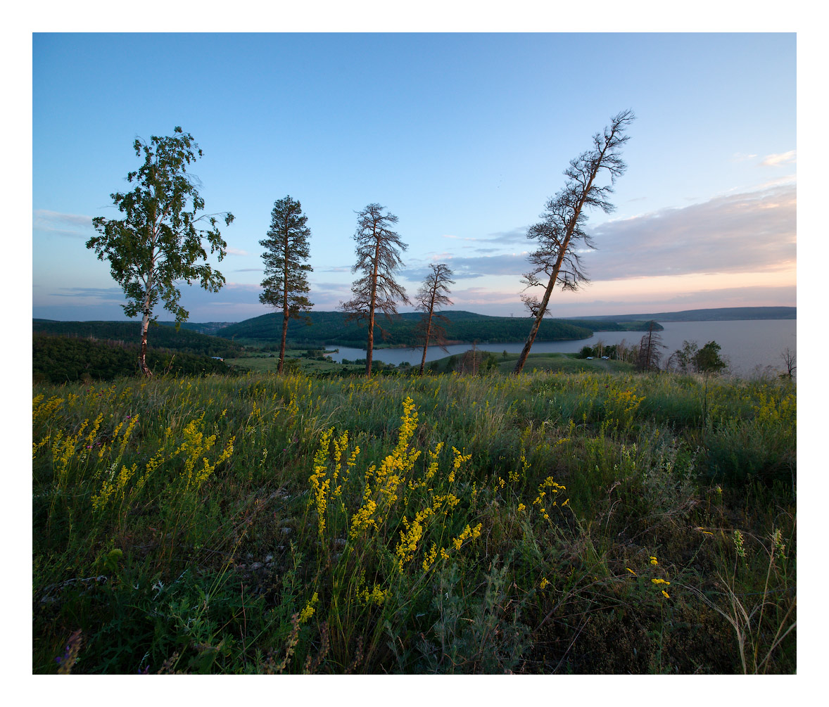 Раскинулись