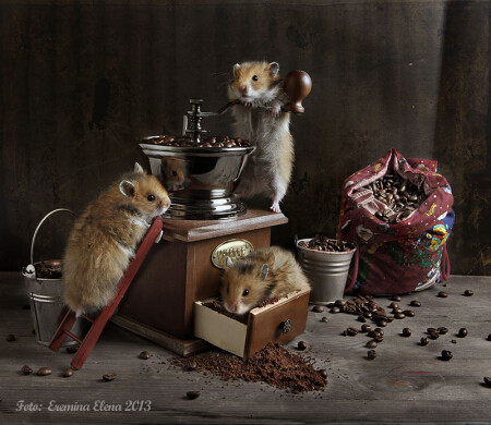 кофеманы