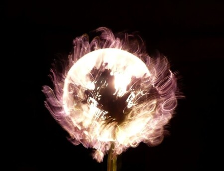 solar flower