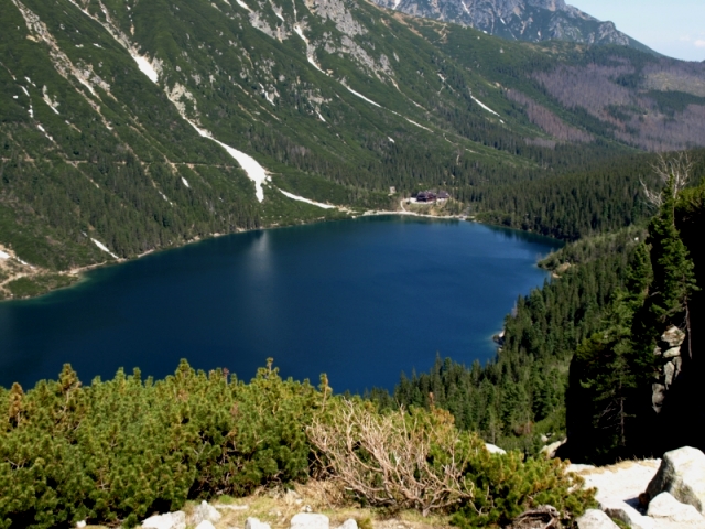 Polish Tatra