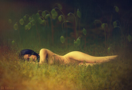 return to innocence