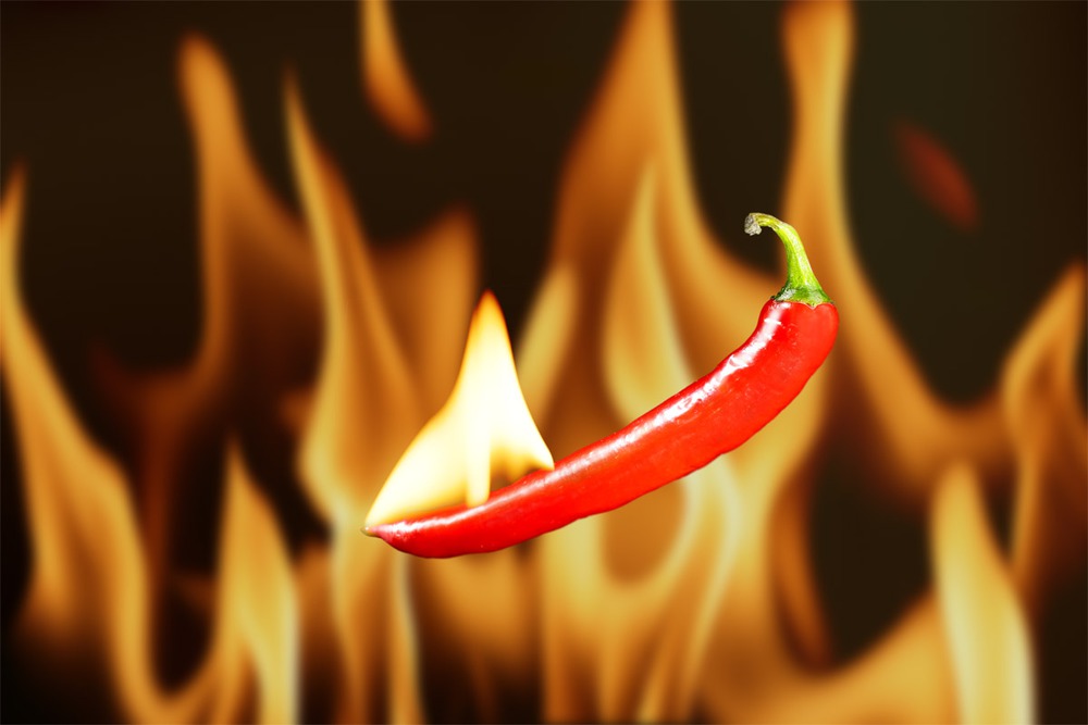 Red hot chili pepper