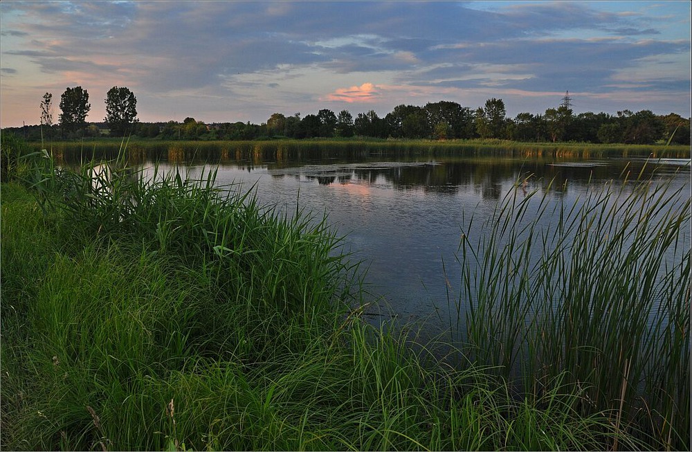 Время комаринских