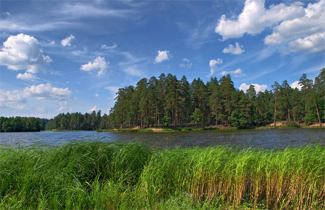 Летняя зарисовка