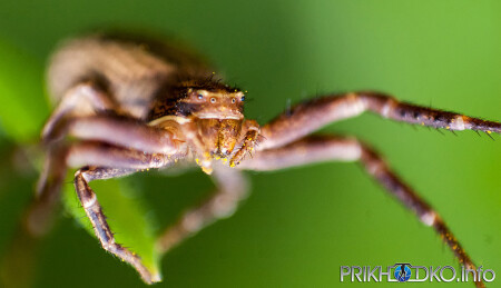 &amp;quot;Кто на новенького?&amp;quot;