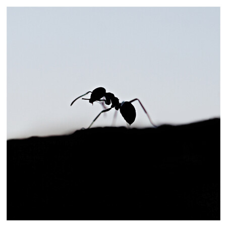 &amp;quot;цигун&amp;quot;