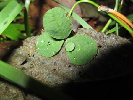 Лучом света в темном царстве