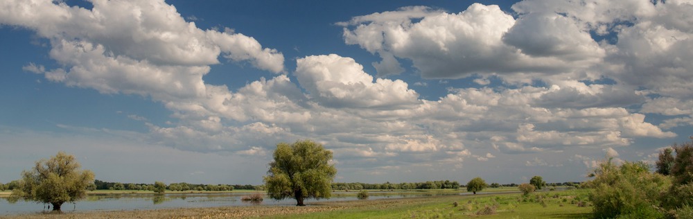 Перед дождем