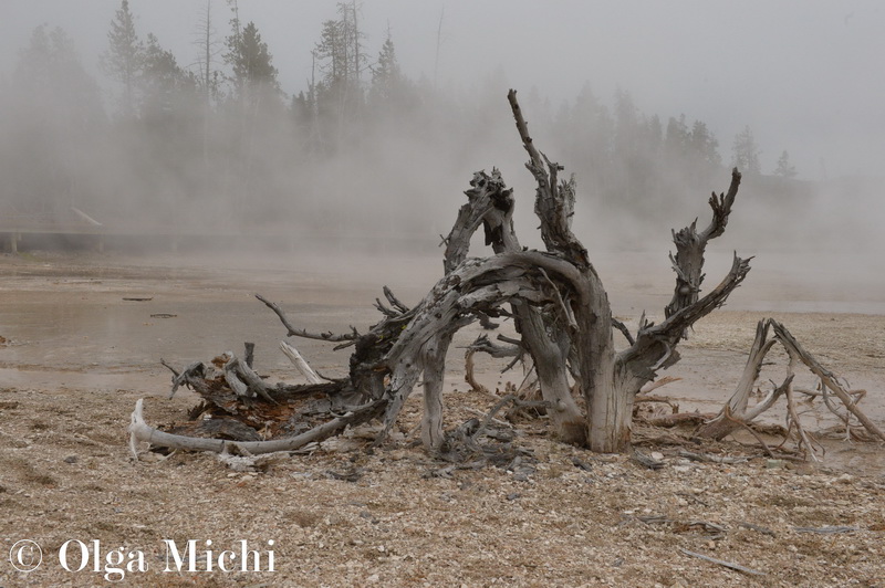 Yellowstone National Park