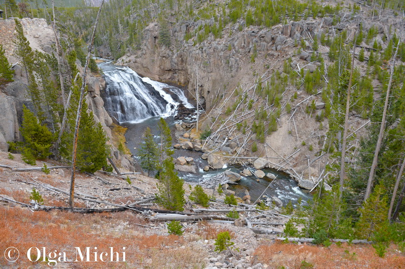 Yellowstone National Park.