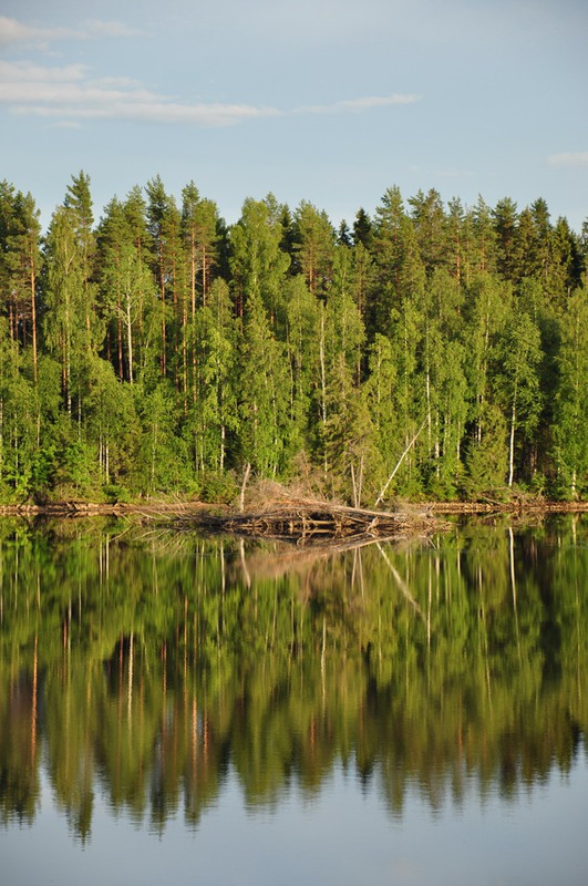 Штиль на реке Свирь