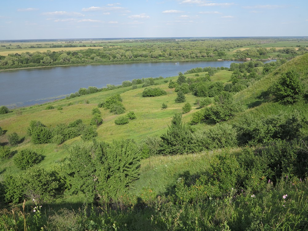 Ока в р-не Новоселок