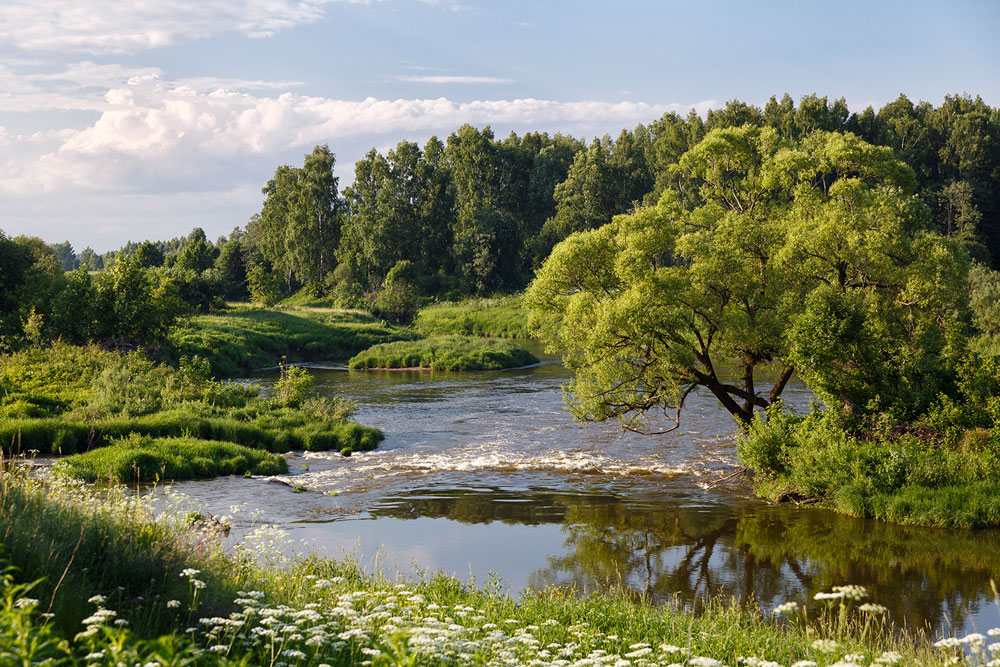 Речка &quot;Урев&quot;