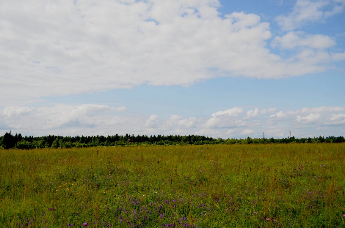 Дачная прогулка