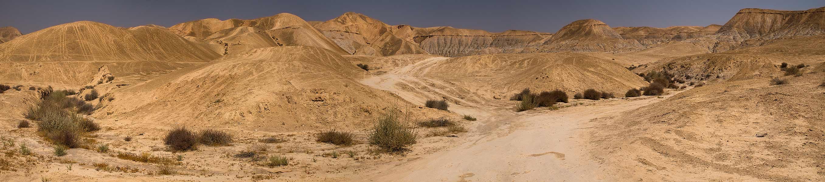 The Judaean Desert