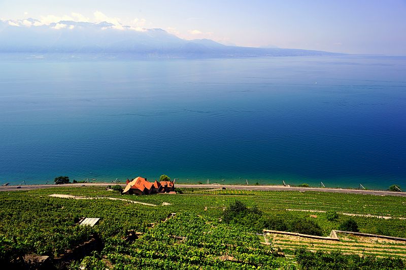 Lavaux, Suisse, 06-07-2013