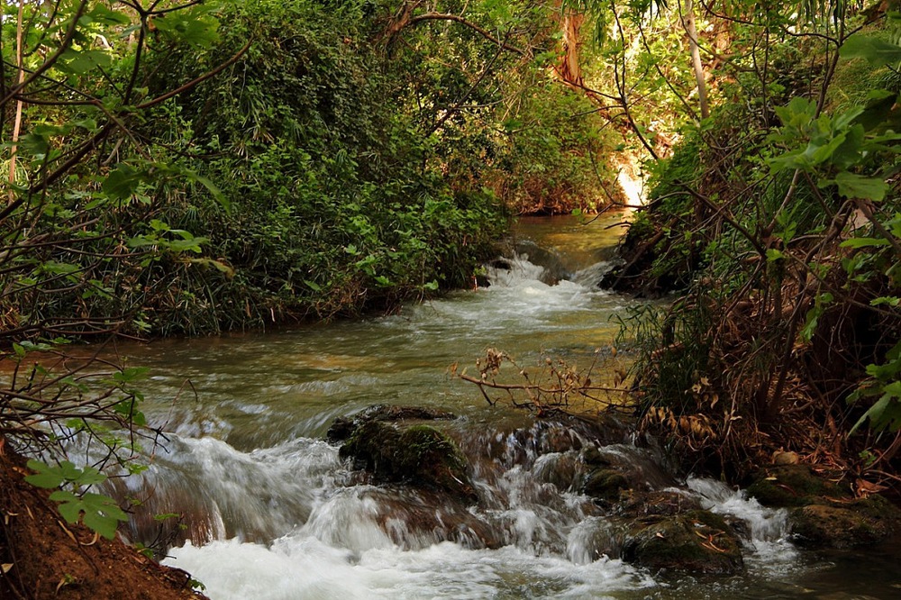 На речке