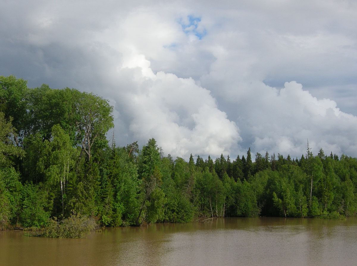 Ливень кончился