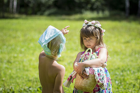 Раздел территории