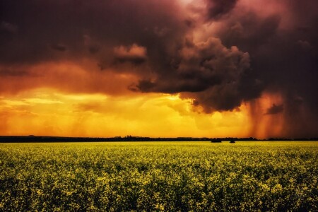 Summer storm