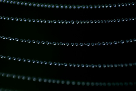 Нотная грамота