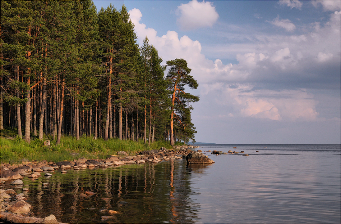 Свежесть утра