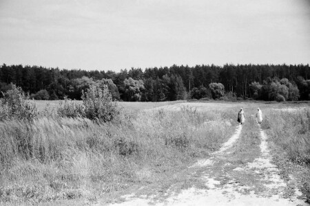 Жаркий полдень