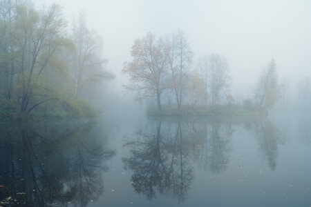 121012-_6459564-67P-