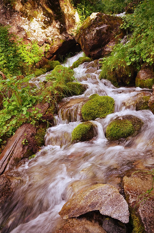 Лесной водопад...