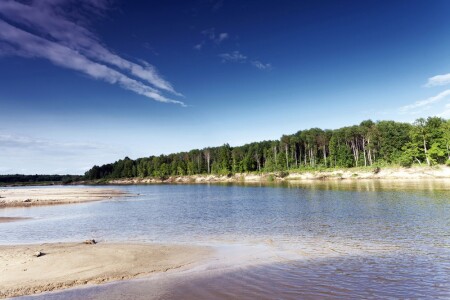 Песчаные косы на реке