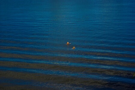 Купальщицы