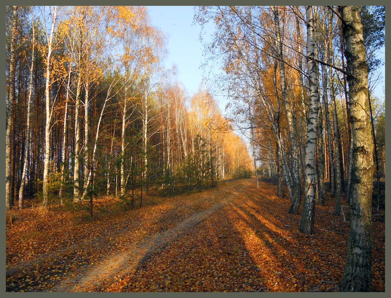 Осень в Полесье