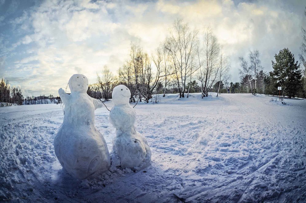 зимняя парочка )